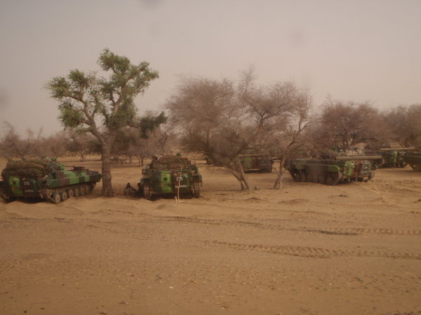 Indian Army in the desert