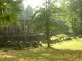Angkor Thom From The Forrest