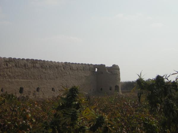 An old shady castle