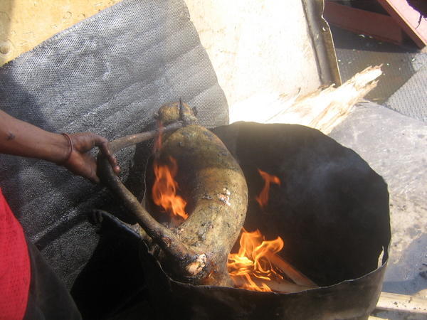 Monkey roasting on an open fire