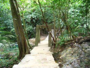 Palenque Ruins - The small suspension bridge