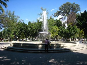 Oaxaca City fountain