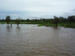 Flooded plains
