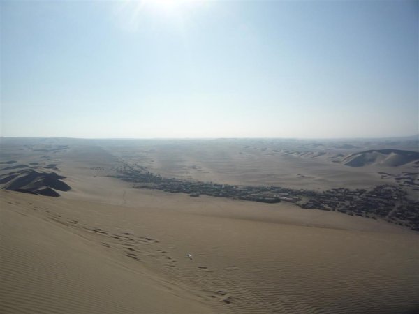 Desert beauty