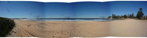 Dee Why Beach Panorama