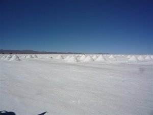 Salt piles drying in the sun