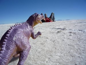 When dinosaurs attacks