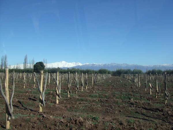the freaking andes mountains