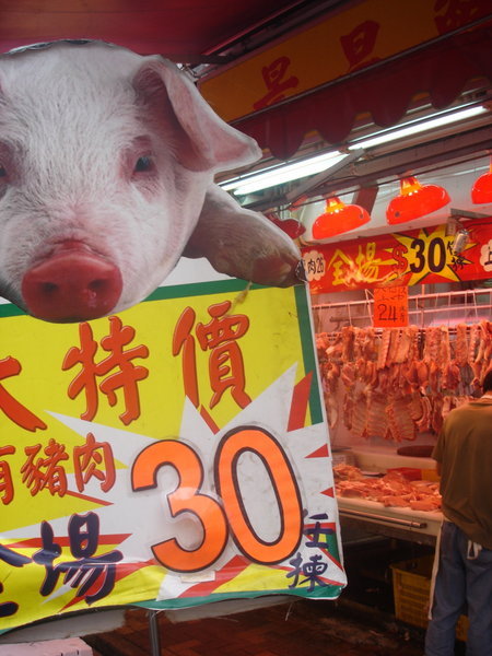 Swine flu for sale