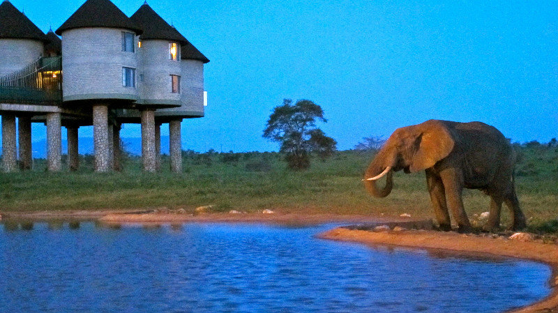 Watering Hole