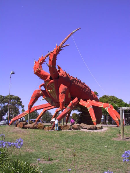 Giant Lobster in Kingston