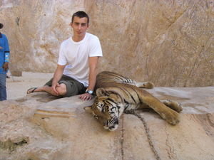 Dom and Tiger