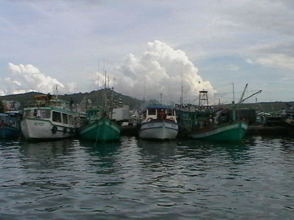 Jam Packed Boats