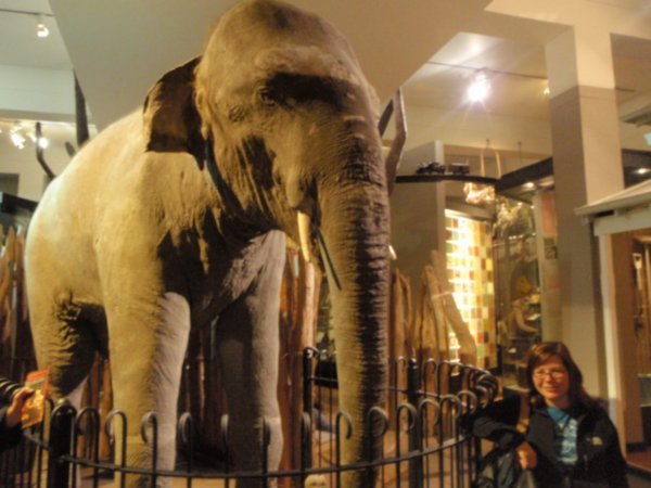 Karen and an elephant