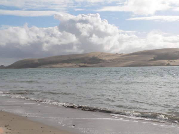 Sand dunes at Opononi