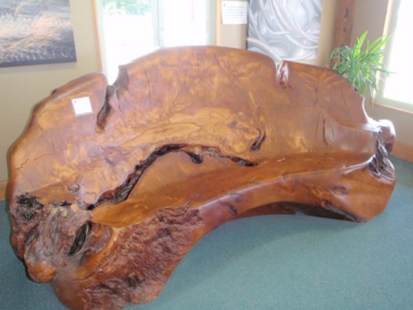 This bench was made from 45,000 year old kauri tree