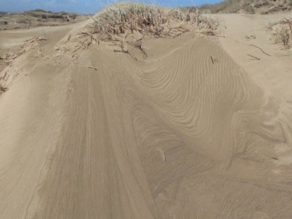Pretty patterns in ninety mile beach sand