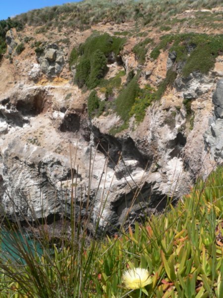 The cliffs full of nesting birds