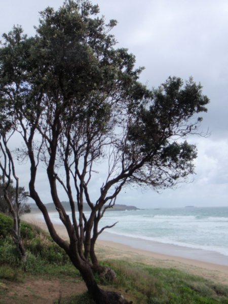 The beach by the motorpark at Coffs Harbour