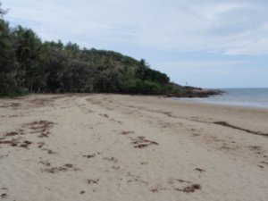 The beach at Port Douglas