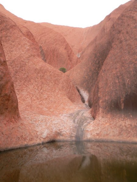The watering hole at Uluru