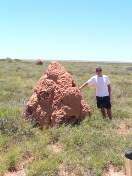 One of the many termite mounds by the side of the road