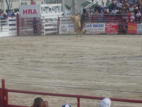 Homestead Rodeo