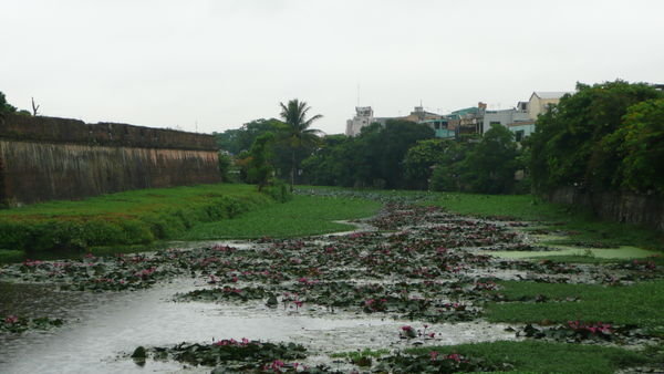 Moat outside the Citadel, Hue
