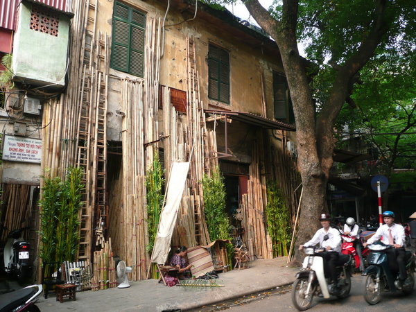 Bamboo for sale, Hanoi