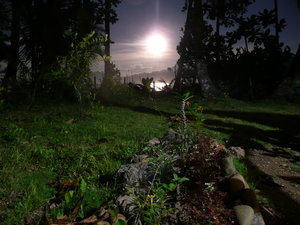 Moonlight garden at Dab Dab bungalows, Sabang