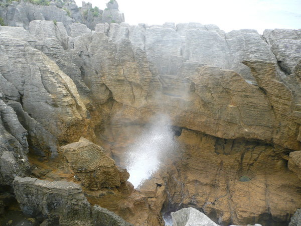 Another blowhole in action! 