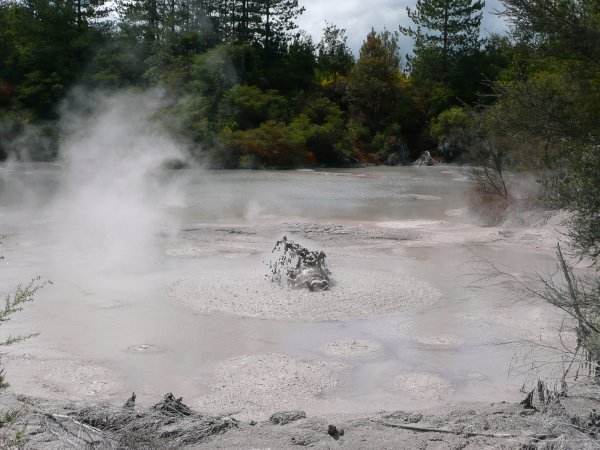 Erupting Mud Pools