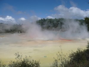 Thermal Pools outside Rotorua