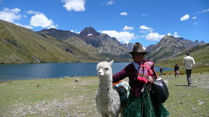 Traditional Lady with her Alpaca posing for soles