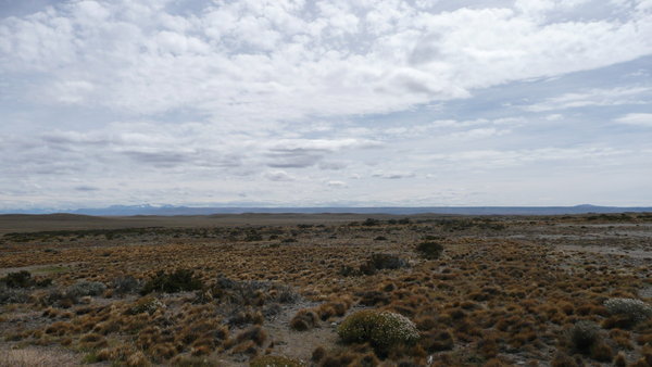 Patagonian Steppe 
