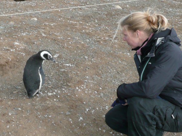 Communing with the penguins