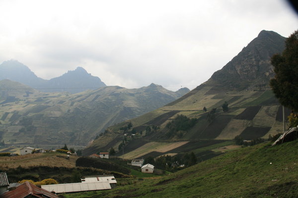Mountain agriculture