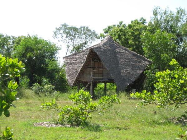 Auroville lodging
