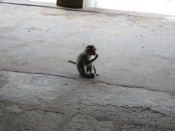 inside-a-temple-photo