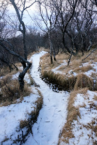 Snow paths