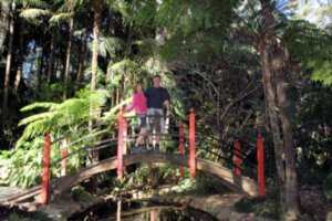 In the heart of the Tamborine Botanical Gardens