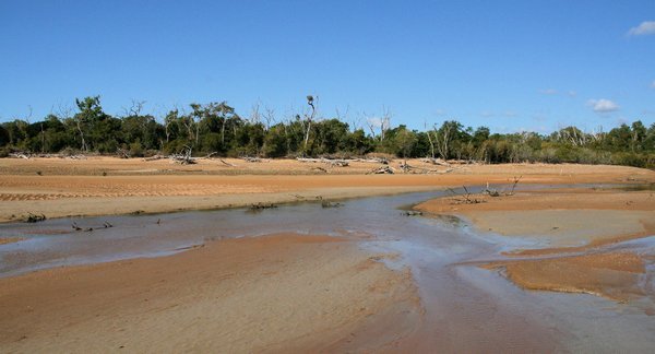 Looking across the shallow end of the creek towards the nest