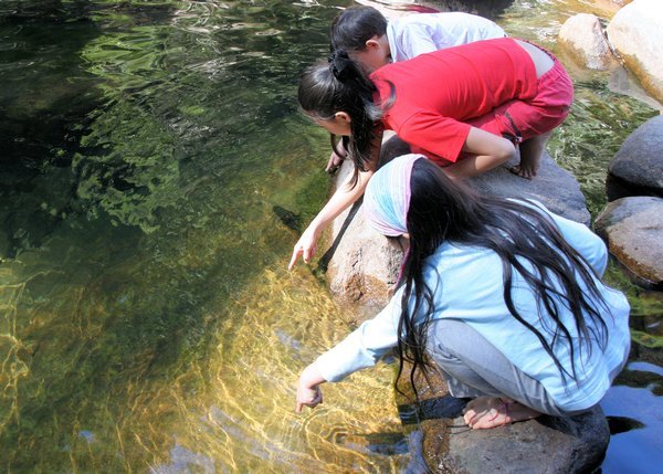 The chinese kids were desperately trying to entice the eel from it's hiding hole