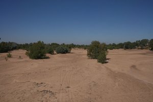 A rather large, dry creek