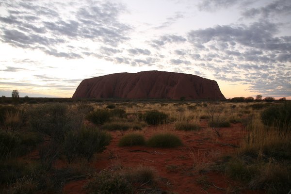 Early morning Uluru