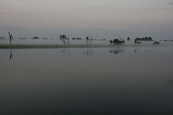 Mist over Yellow Water, with a croc waiting beneath
