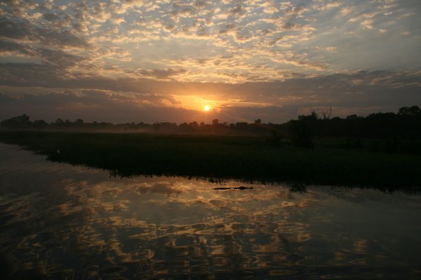 Sunrise, mist, reflections and a crocodile