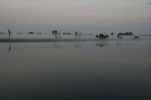 Mist over Yellow Water, with a croc waiting beneath