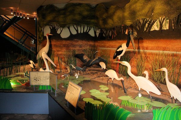 Part of the excellent displays in the Window on the Wetlands