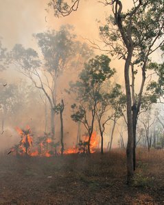 Controlled burn off within Litchfield National Park